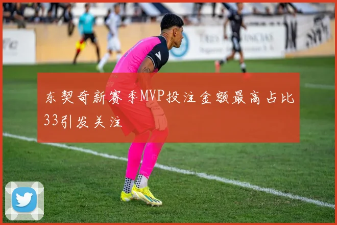 东契奇新赛季MVP投注金额最高占比33引发关注