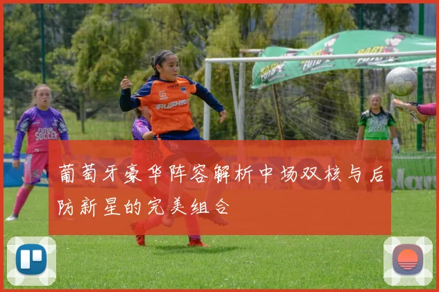 葡萄牙豪华阵容解析中场双核与后防新星的完美组合