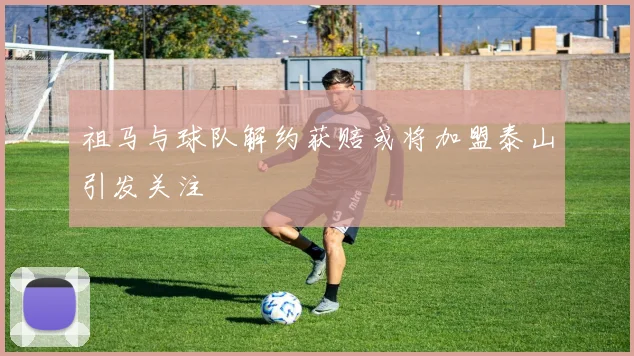 祖马与球队解约获赔或将加盟泰山引发关注